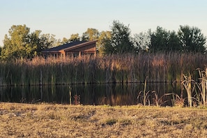A rustic cabin by a calm lake surrounded by tall grasses and trees. - Ozarks Retreat: Working Farm, Fishing & Kayaking! (Richland)