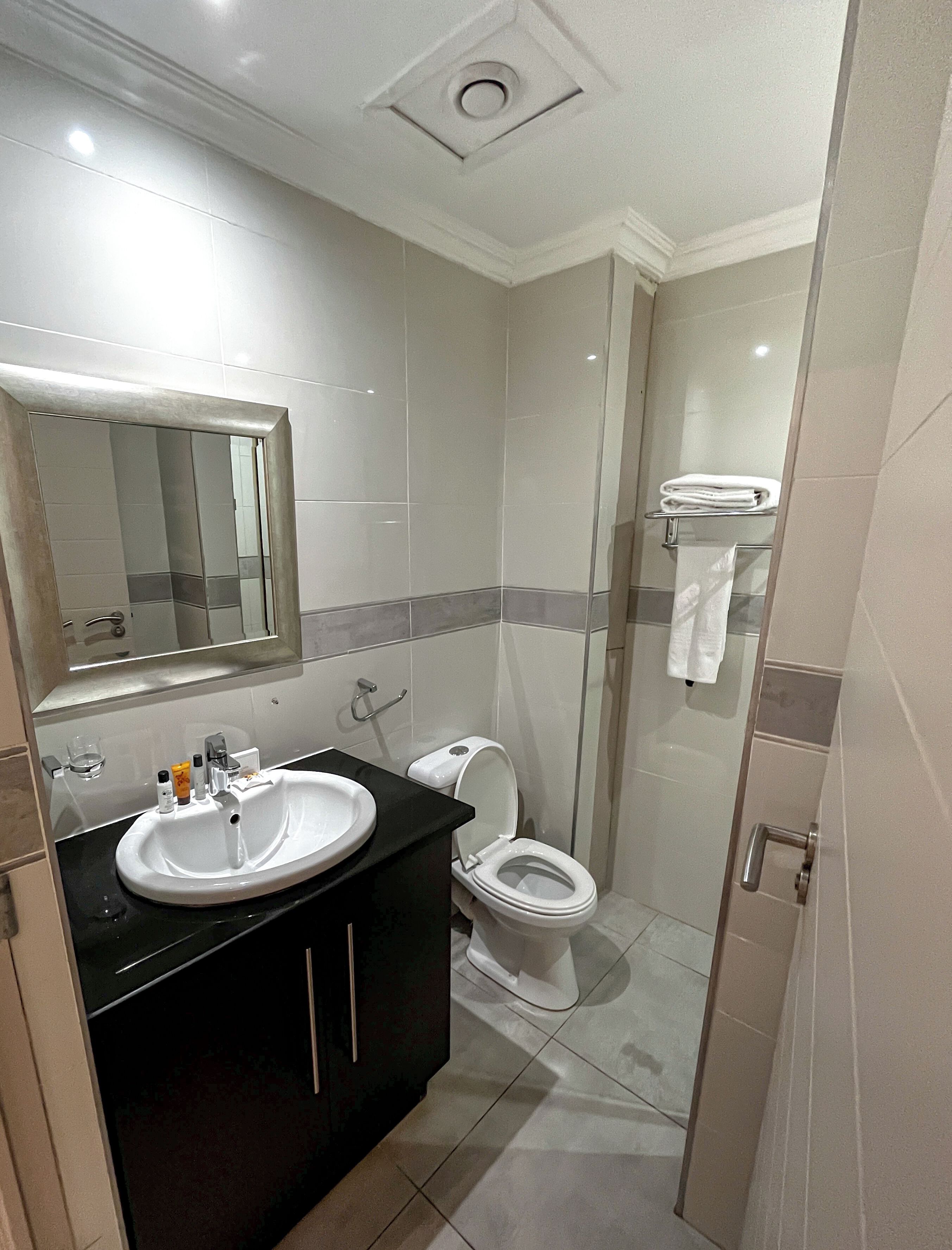 Un baño con lavabo, espejo, inodoro y zona de ducha.