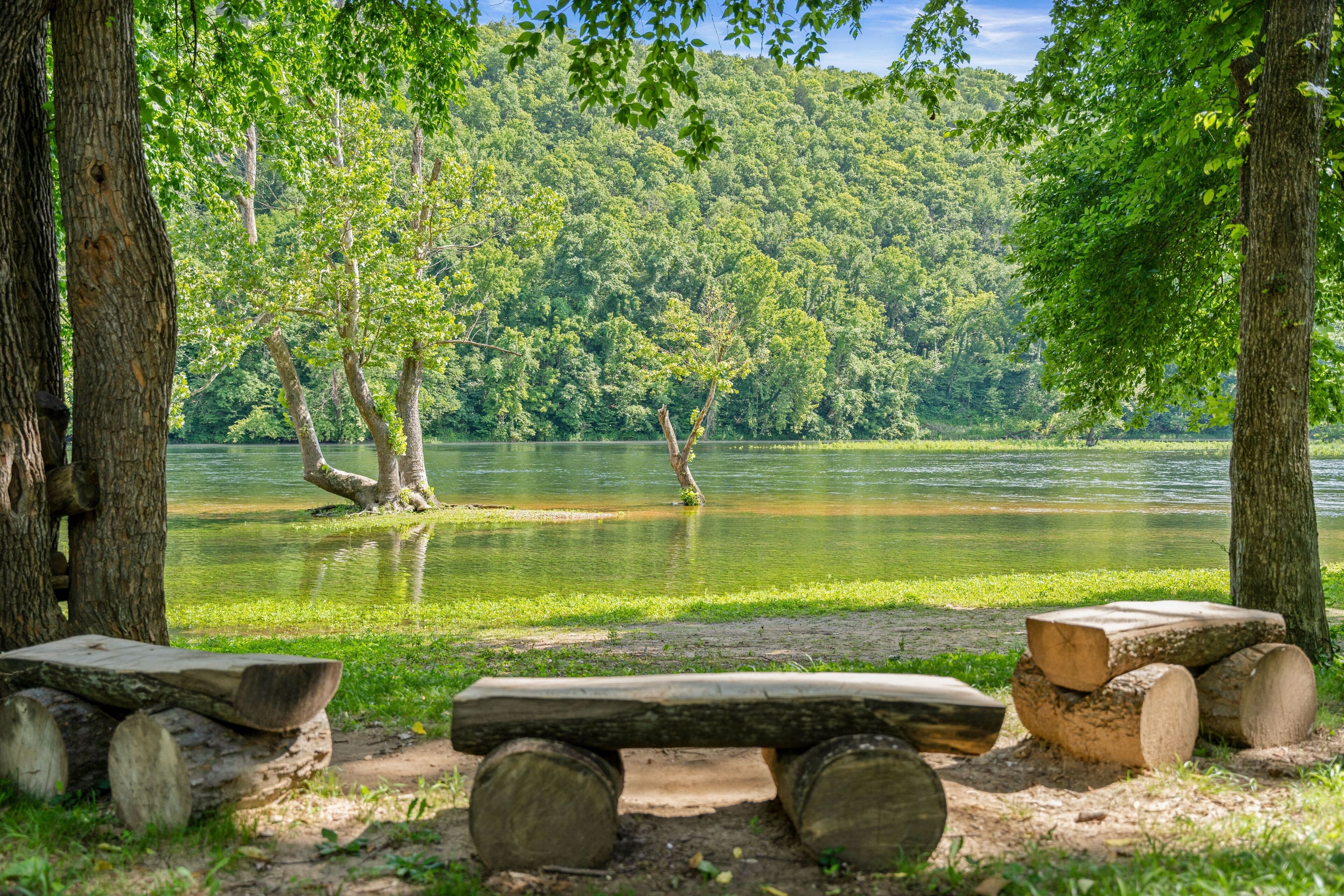 Un cadre idyllique au bord d’un lac, avec un banc et des troncs d’arbres, le tout entouré d’arbres et d’une colline boisée.