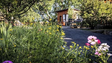 summerCABIN | Free WiFi
