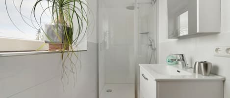 Shower, hair dryer, towels