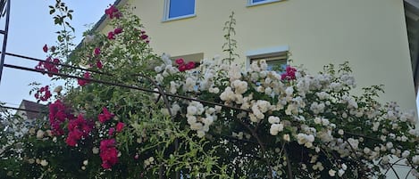 Terrain de lâhĂ©bergement