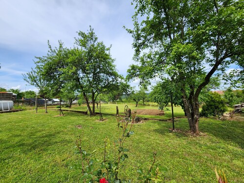 Quiet cottage in the countryside