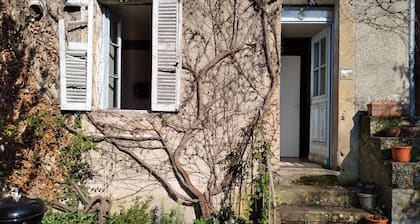 Appartement en plein centre ville avec jardin