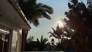 A balcony with a white balustrade, palm trees, and a clear sky. - Island Inn  (Entebbe)