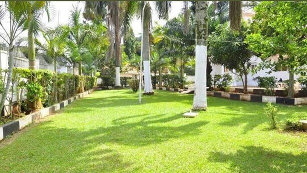 A well-maintained garden with a lawn, palm trees, and a white fence. - Island Inn  (Entebbe)