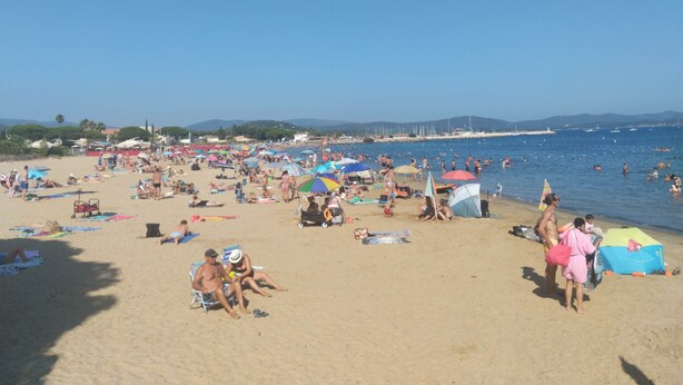 Een druk strand vol mensen die zonnen en zwemmen, met parasols en strandstoelen.