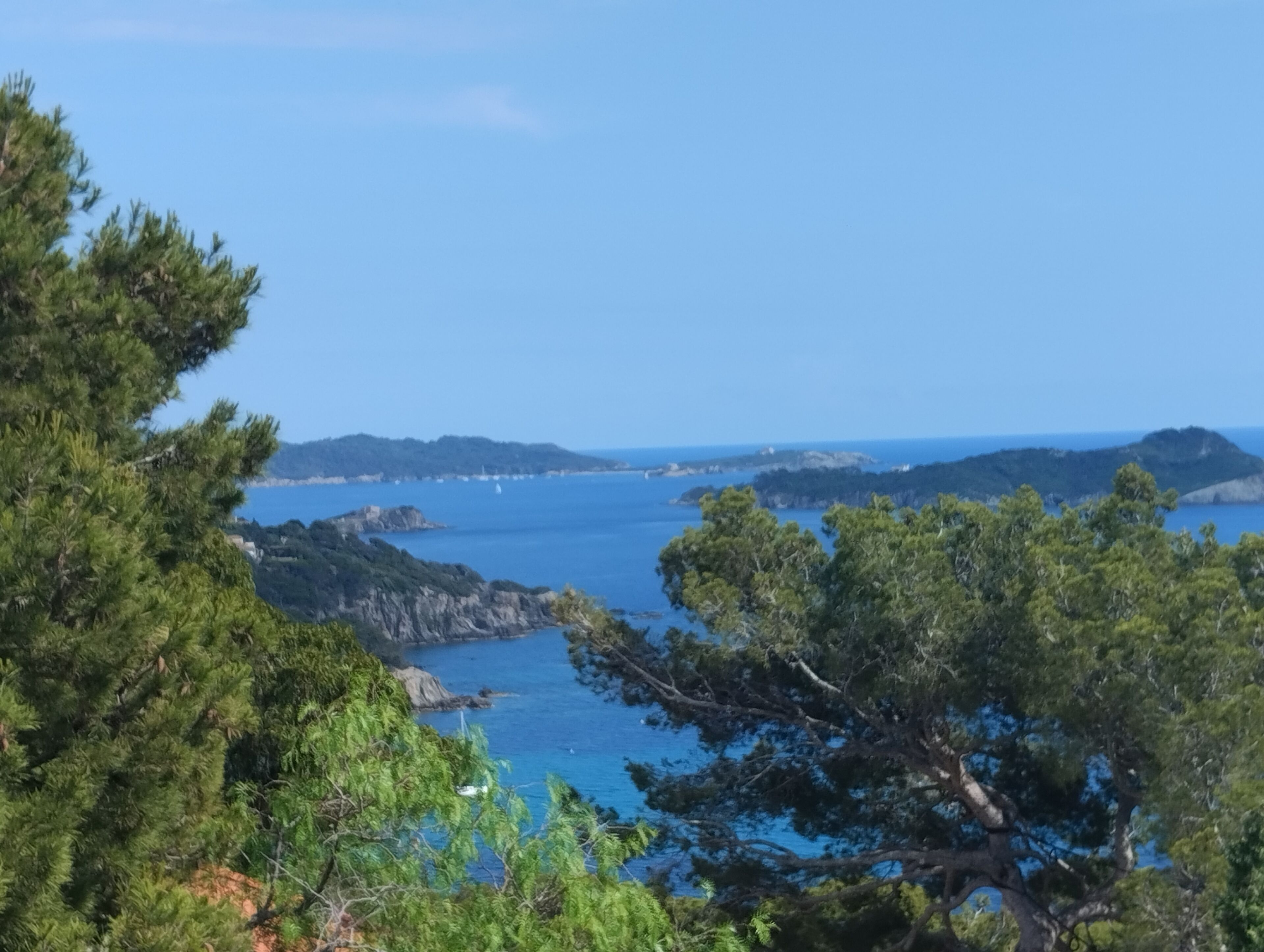 Un paisaje costero con árboles verdes frondosos, afloramientos rocosos y un mar azul cristalino.