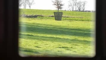 Deluxe tweepersoonskamer, uitzicht op tuin | Interieur