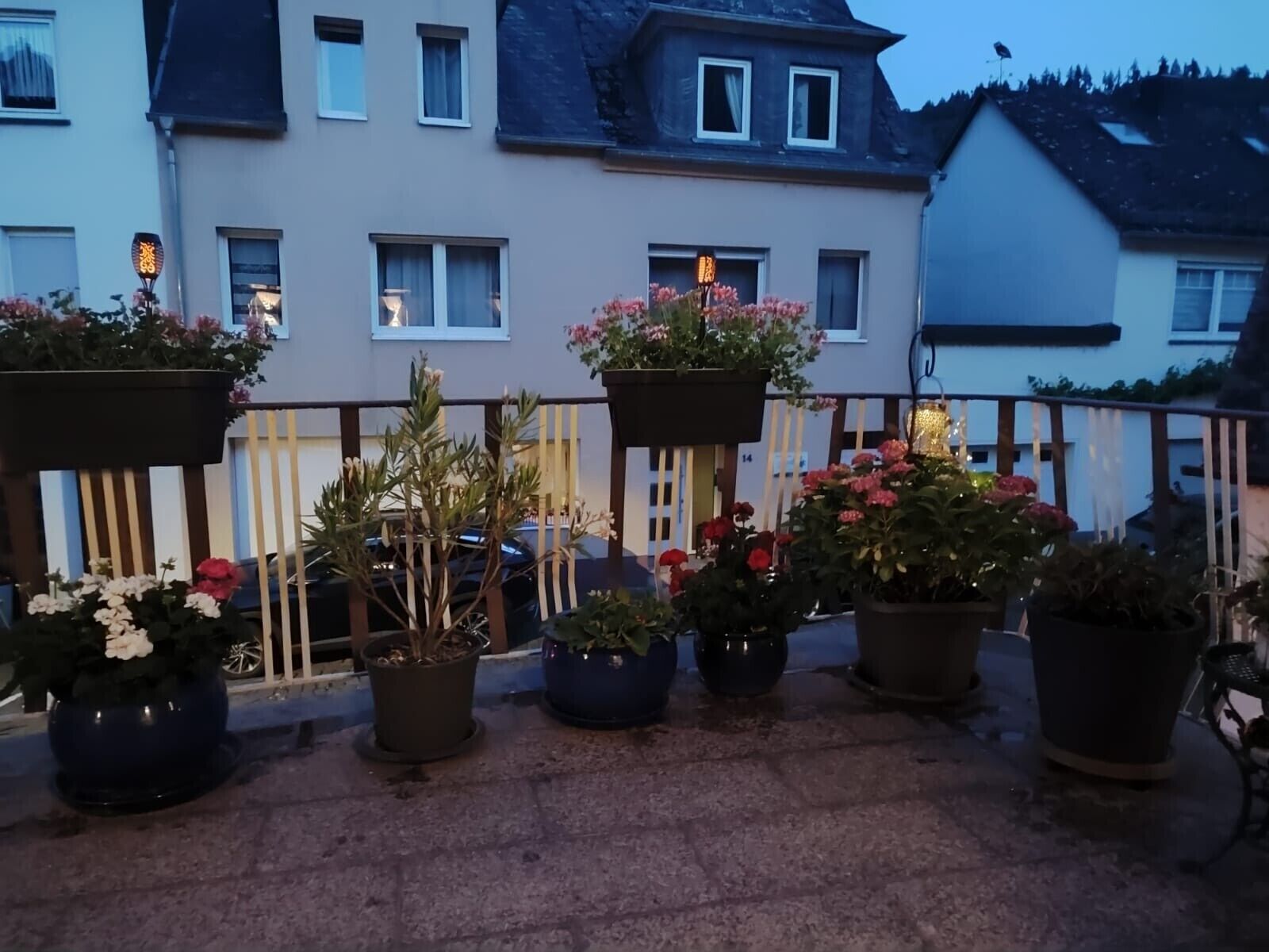 A balcony with potted plants and a railing.