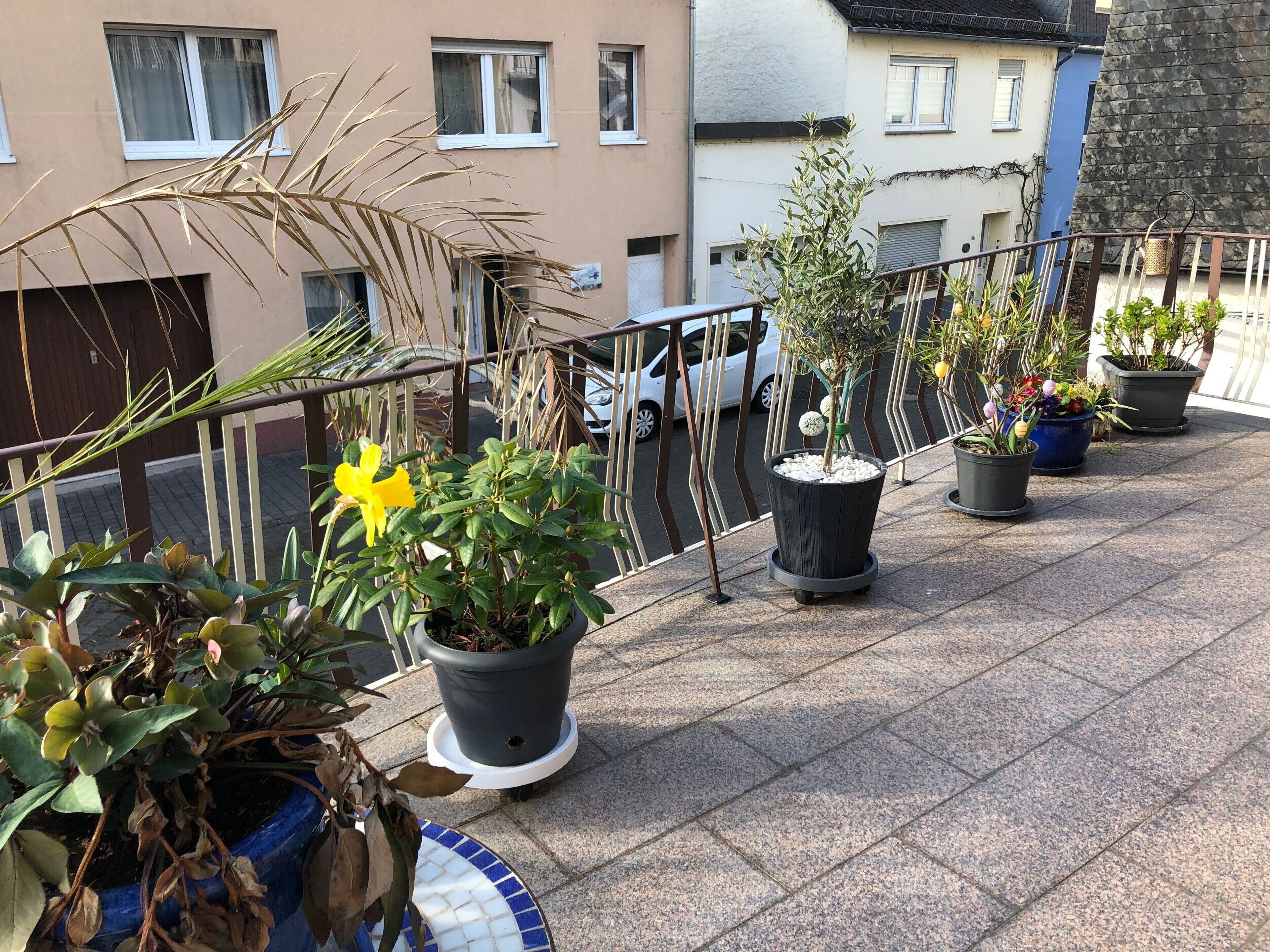 Un balcon orné de plantes en pot, une voiture blanche et un bâtiment en arrière-plan.