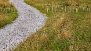 A gravel path leading to a row of cabins in a grassy field with a fence on one side and hills in the background. - Captain's Cabin Shepherd's Hut with Hot Tub, on the edge of the North York Moors (Pinchinthorpe)