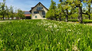 Et hus med skråt tag, mange vinduer og en græsplæne med hvide blomster.