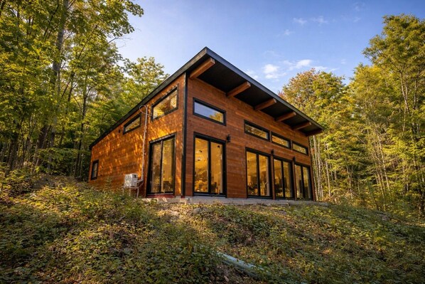 A modern wooden cabin with large windows and a sloped roof, surrounded by a forest.