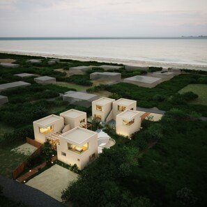 Exterior - Semilla NAGO OKINAWA (Nago)