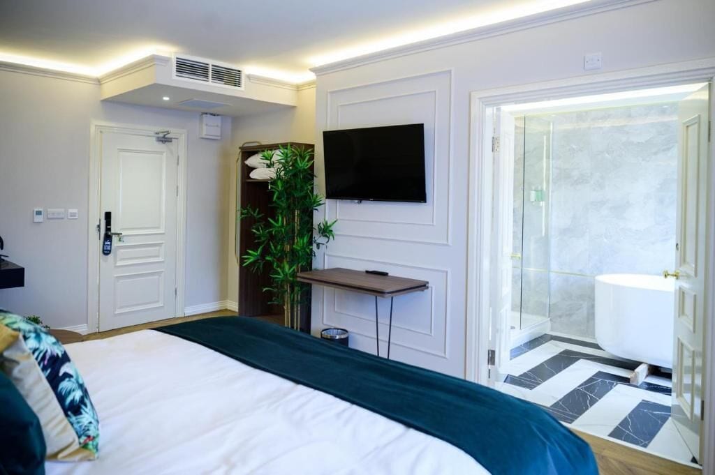 Habitación de hotel con cama, televisor en la pared, zona de ducha y una mesita con una planta.