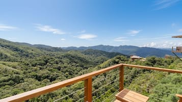 Chalet | Property grounds