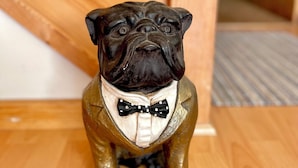 Eine Bulldoggenfigur in Smoking, sitzend auf einem Holzboden.