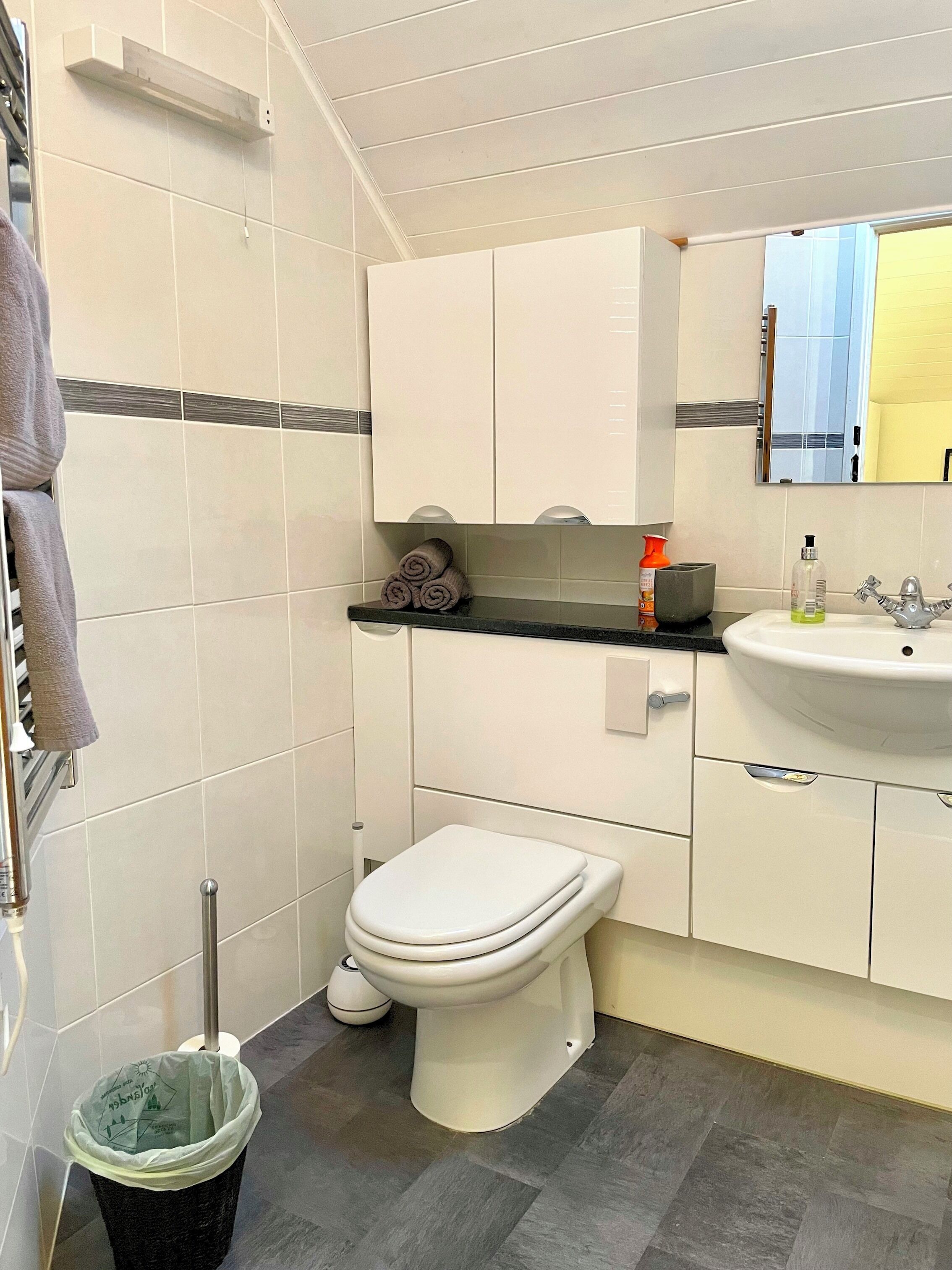 Une salle de bain moderne équipée de toilettes, d’un lavabo et d’un porte-serviettes.