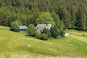 A house surrounded by a forest, with a grassy field in the foreground. - Apartment Sommerruhe in Jostal near Titisee (Titisee-Neustadt)