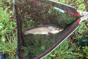 Miscellaneous - A serene interlude in the heart of the Jura mountains (Lent)