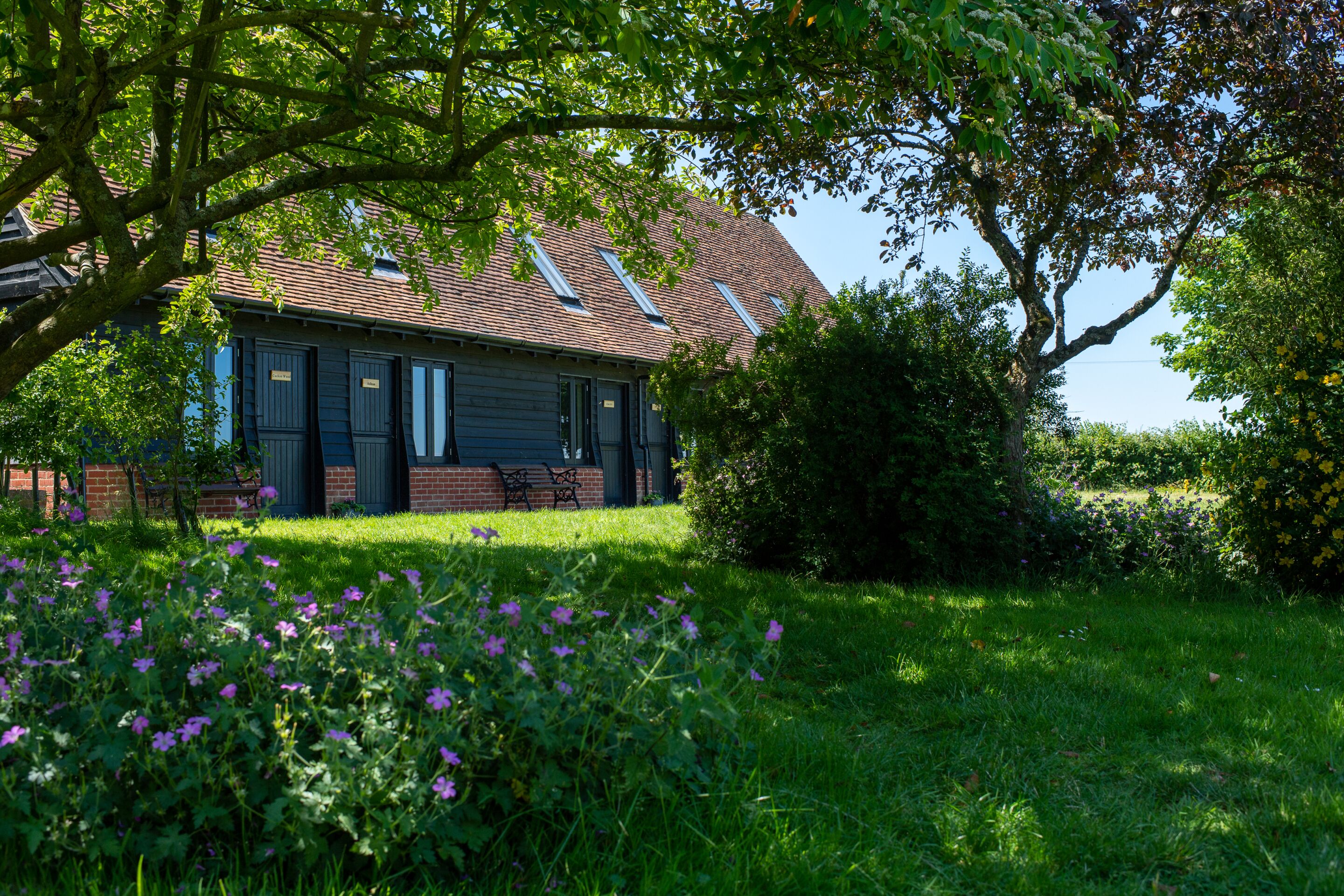 Cabin Deluxe, có phòng tắm riêng, quang cảnh sân vườn | Ngoại thất