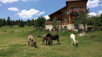 Enceinte de l’hébergement