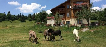 LES CHALETS A LA FERME (with sauna)