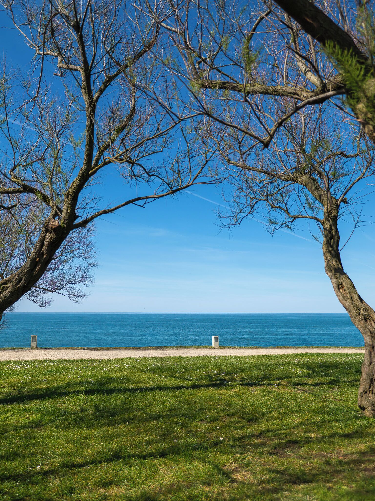 A beach with a clear sky, a grassy area, and a view of the ocean.