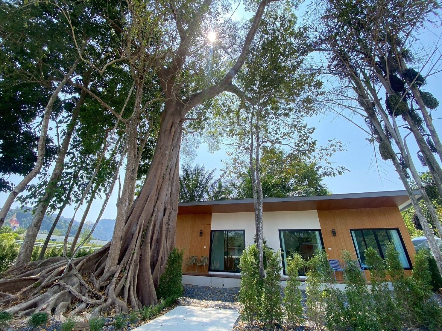 Quarto standard, vista para a colina | Fachada