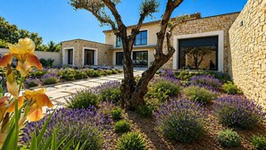 Una casa moderna con fachada de piedra, entrada pavimentada y jardín de lavanda.