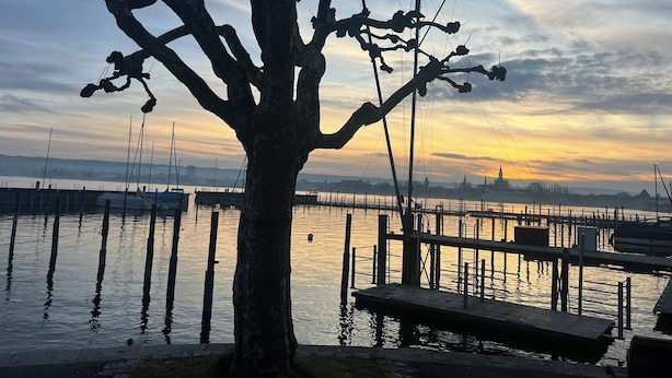 Un arbre au premier plan, avec un quai et des bateaux en arrière-plan.
