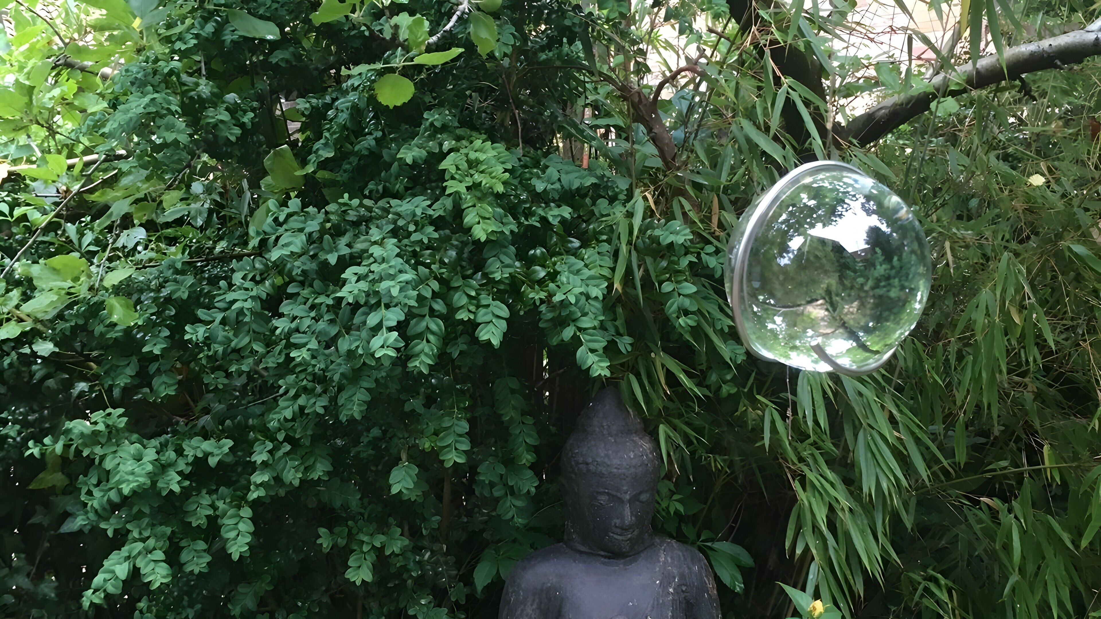 Une statue entourée d’un feuillage dense.
