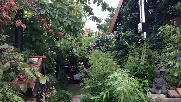 Un giardino con vegetazione lussureggiante, una statua e una panchina.