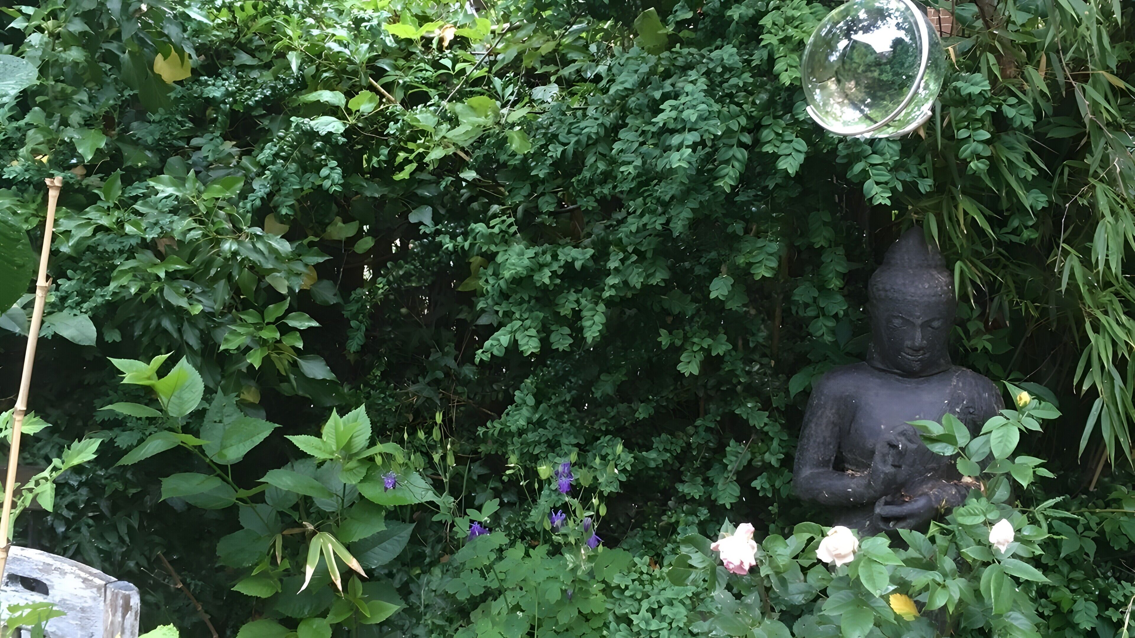 Un jardin orné d’une statue de Bouddha, entouré d’un feuillage dense et de fleurs.