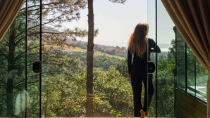 A person standing on a wooden deck with a glass wall, overlooking a forested landscape.
