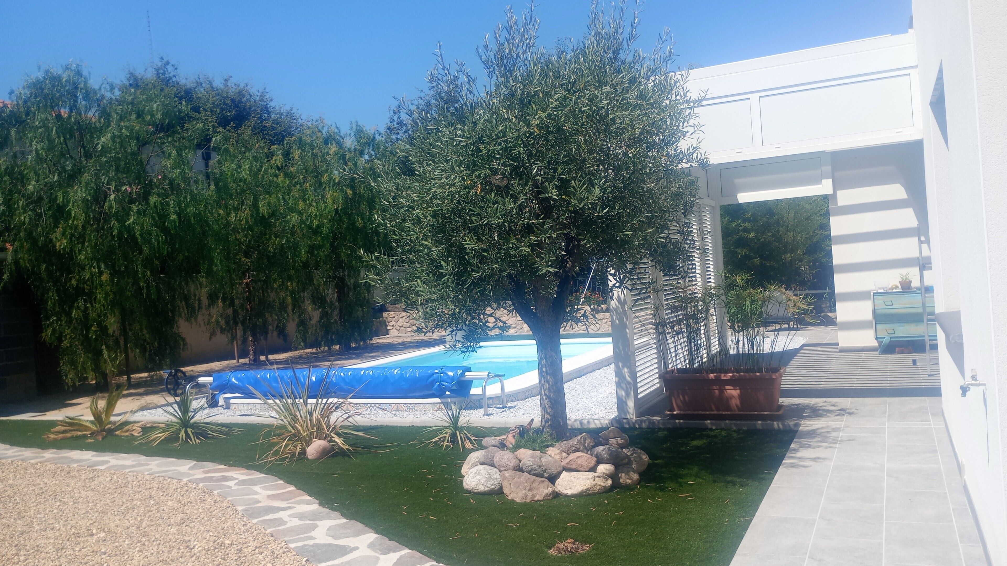 A swimming pool surrounded by greenery, a stone pathway, and a white building with a garage.