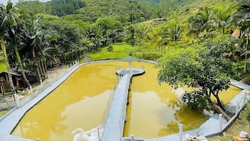 Kabin Deluks | Kolam renang | Kolam renang outdoor