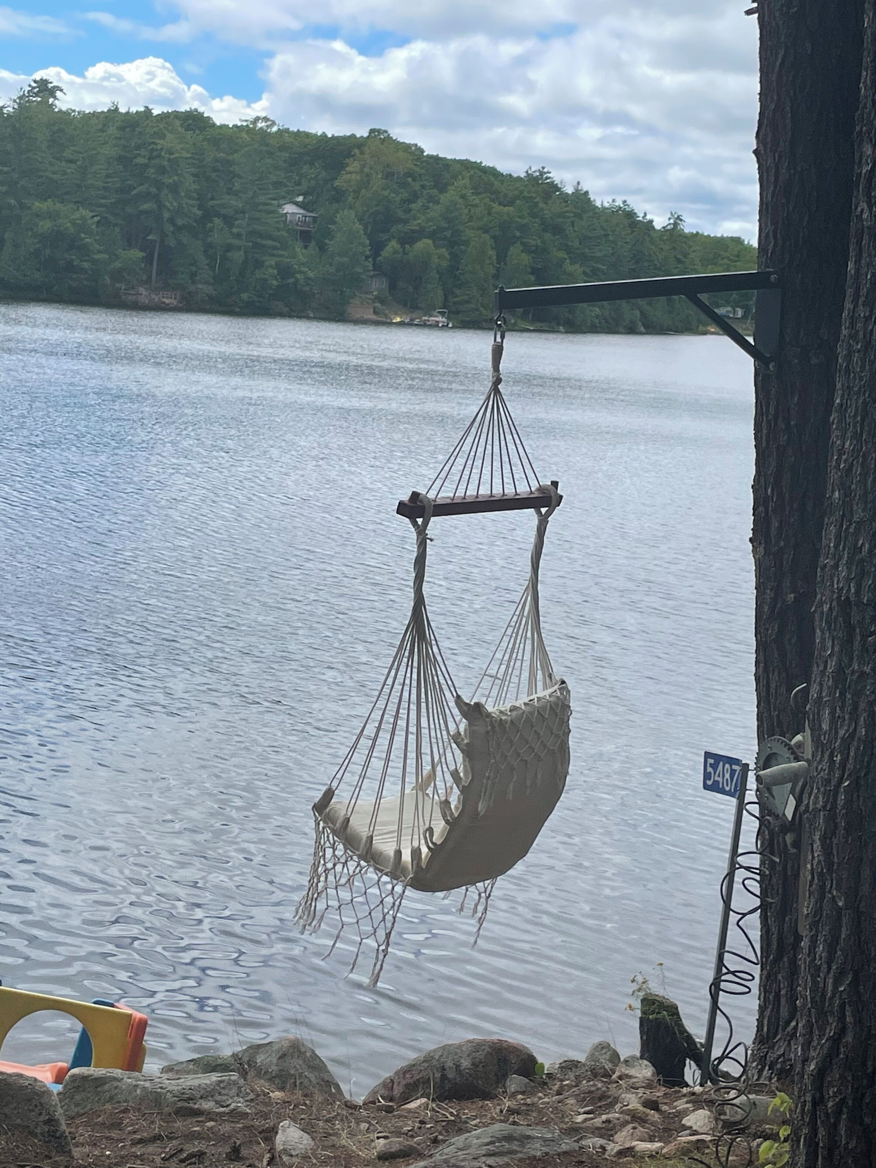 A hammock hanging from a tree by a lake with a clear sky.