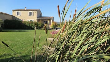 Standard-studio, keittiö, näköala puutarhaan | Ulkoalueet