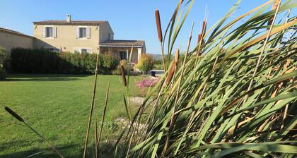 gite le Petit Luberon Lisianthus