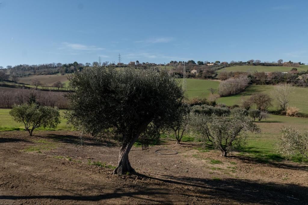 Camera doppia, patio, vista mare | Varie