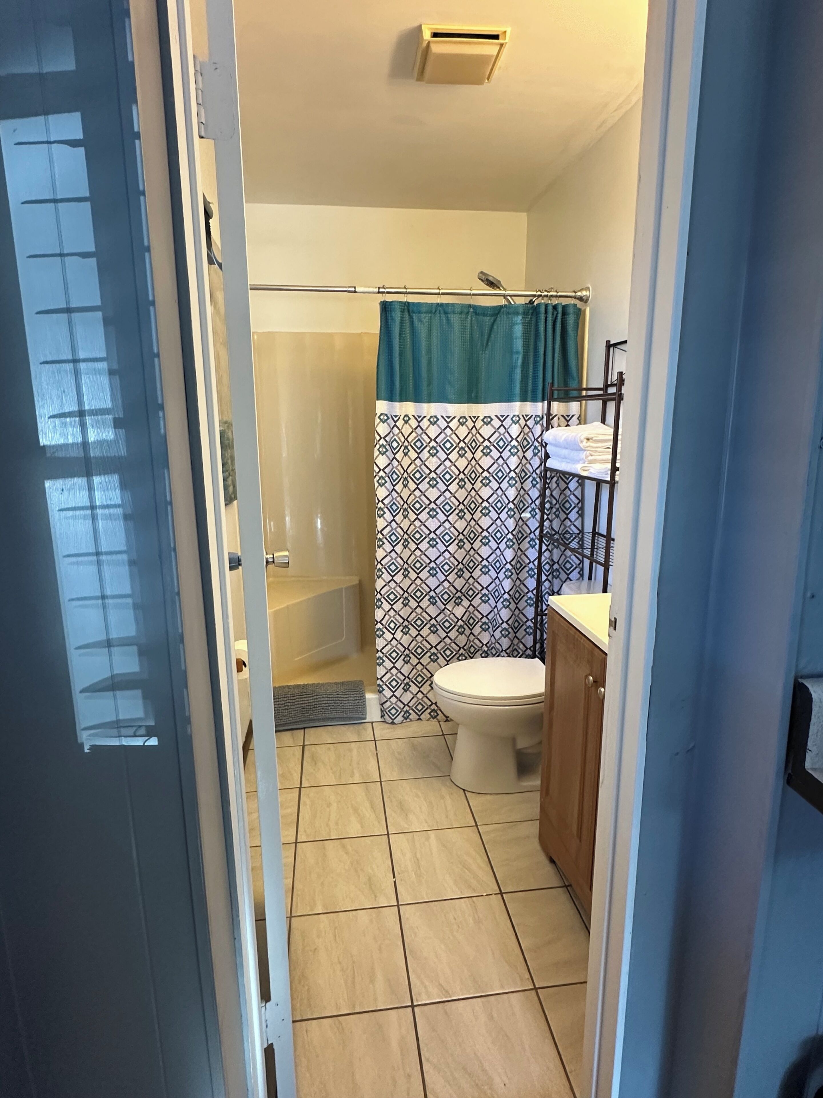 Une salle de bain avec une douche, des toilettes et un porte-serviettes.