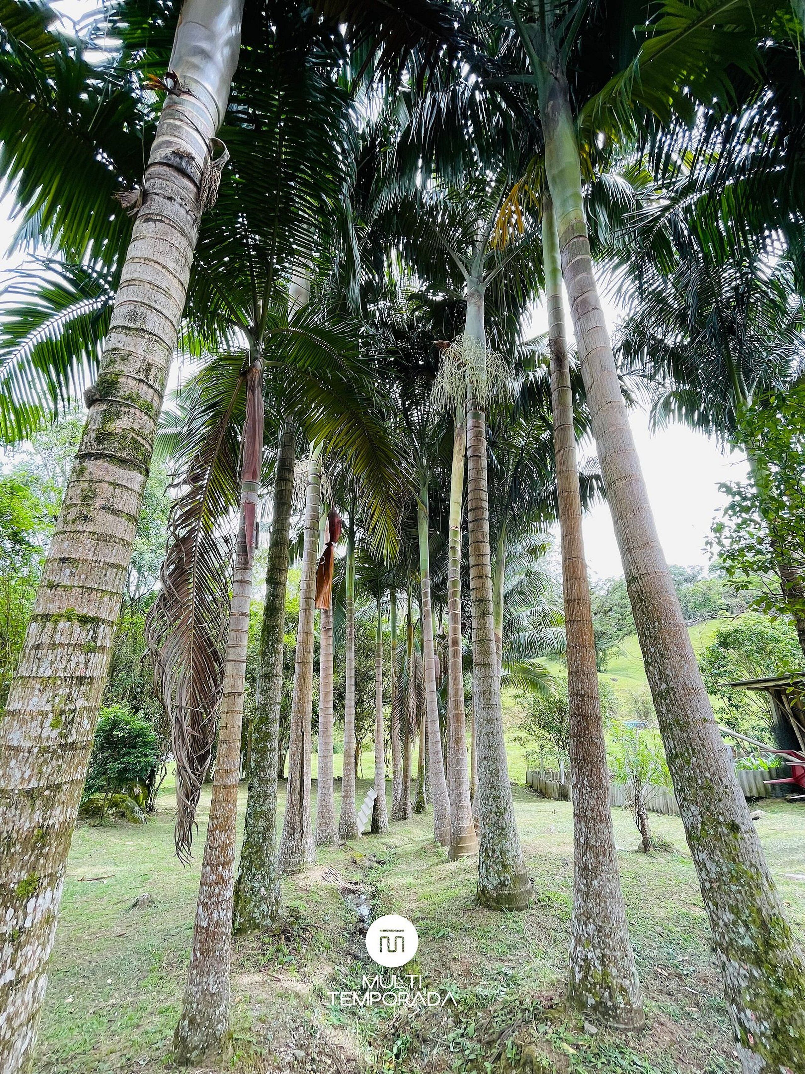 Premium Cottage, Pool Access | Kawasan hartanah