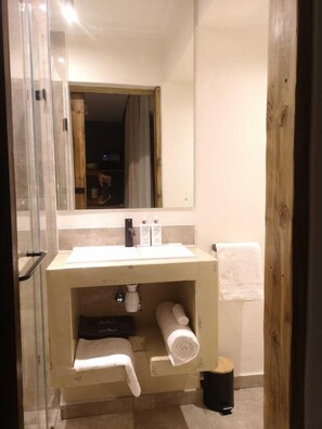 Shower, hair dryer, bidet, towels