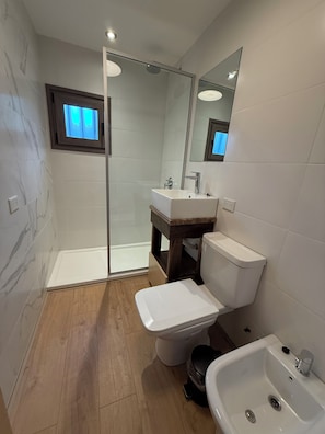 Shower, hair dryer, bidet, towels