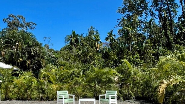 A swimming pool with clear water, surrounded by lush greenery and two white lounge chairs. - New Beautiful private villa with pool 10 minutes walk from Puerto Viejo. (Puerto Viejo de Talamanca)