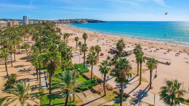 Ein Strand mit Palmen, Sandfläche und blauem Himmel.