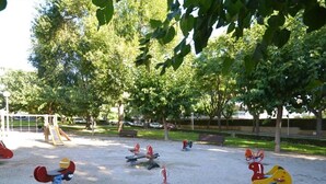 Ein Spielplatz mit verschiedenen Spielgeräten, umgeben von Bäumen und einer Spielkonstruktion.