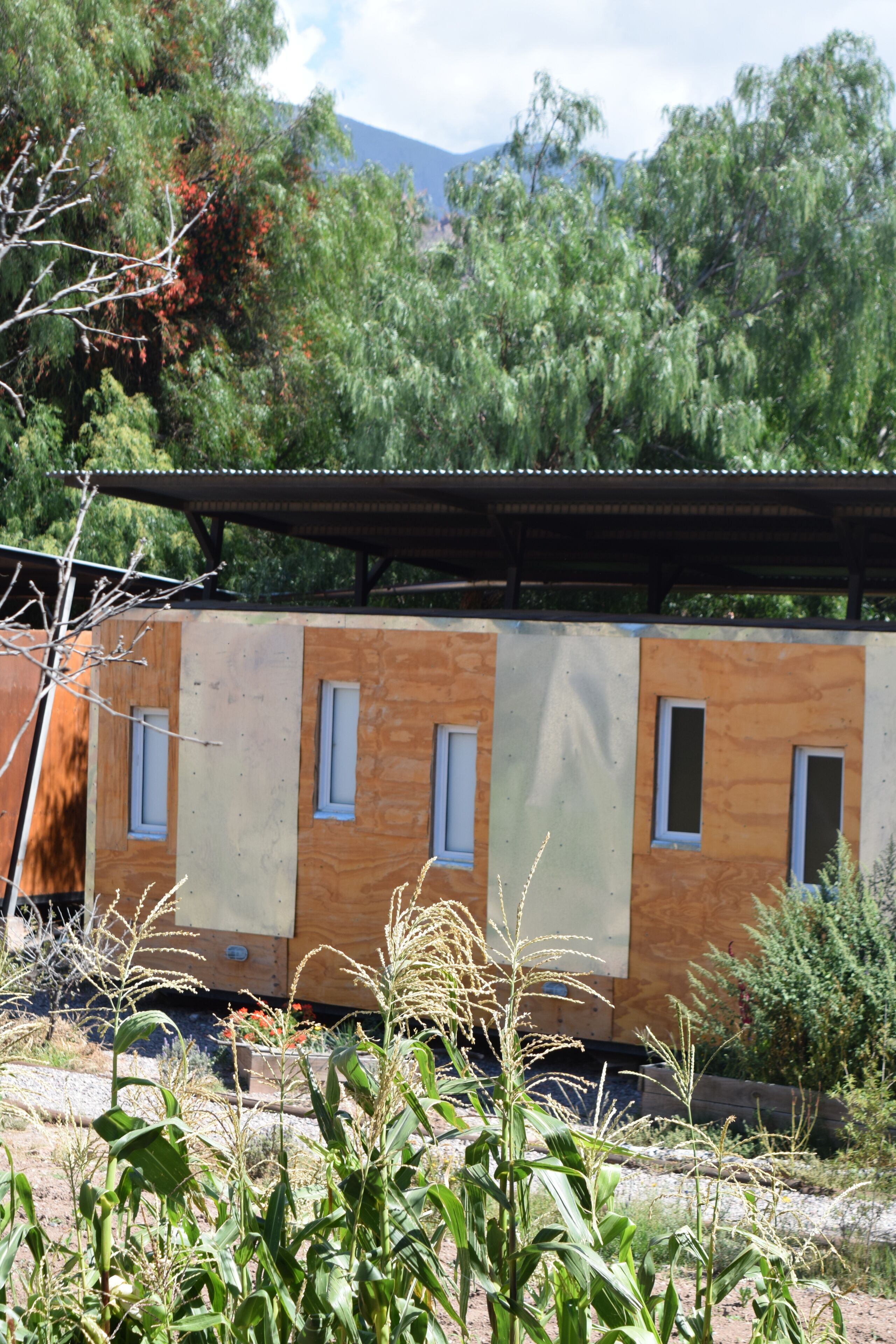 Un edificio moderno con amplias ventanas, rodeado de vegetación y montañas al fondo.